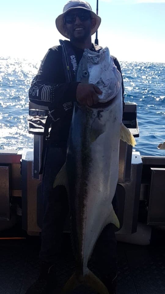 Trophy Cape Kingfish