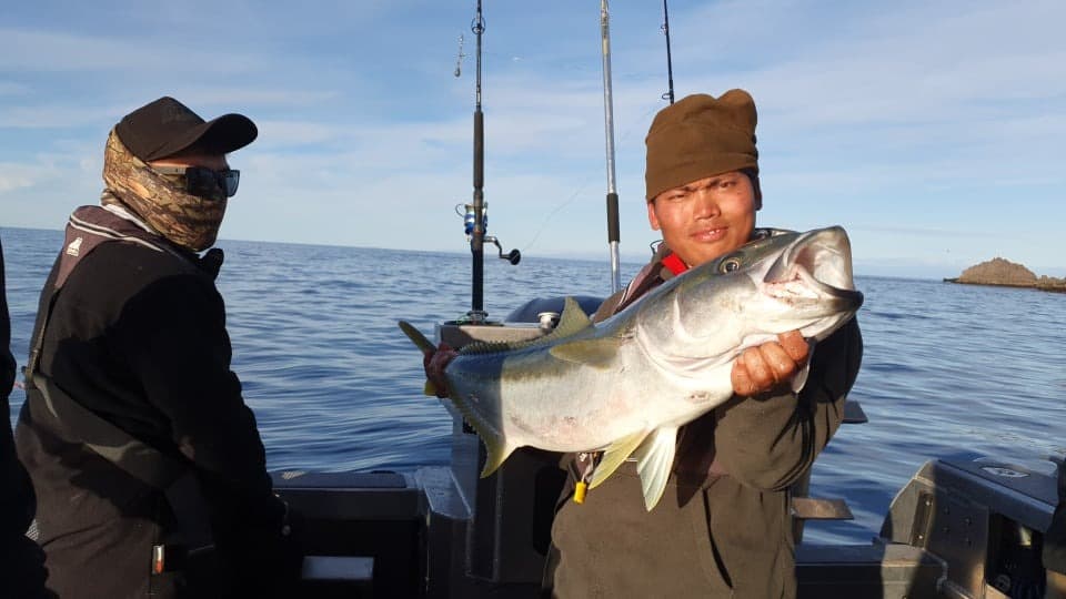 Offshore Yellowtail